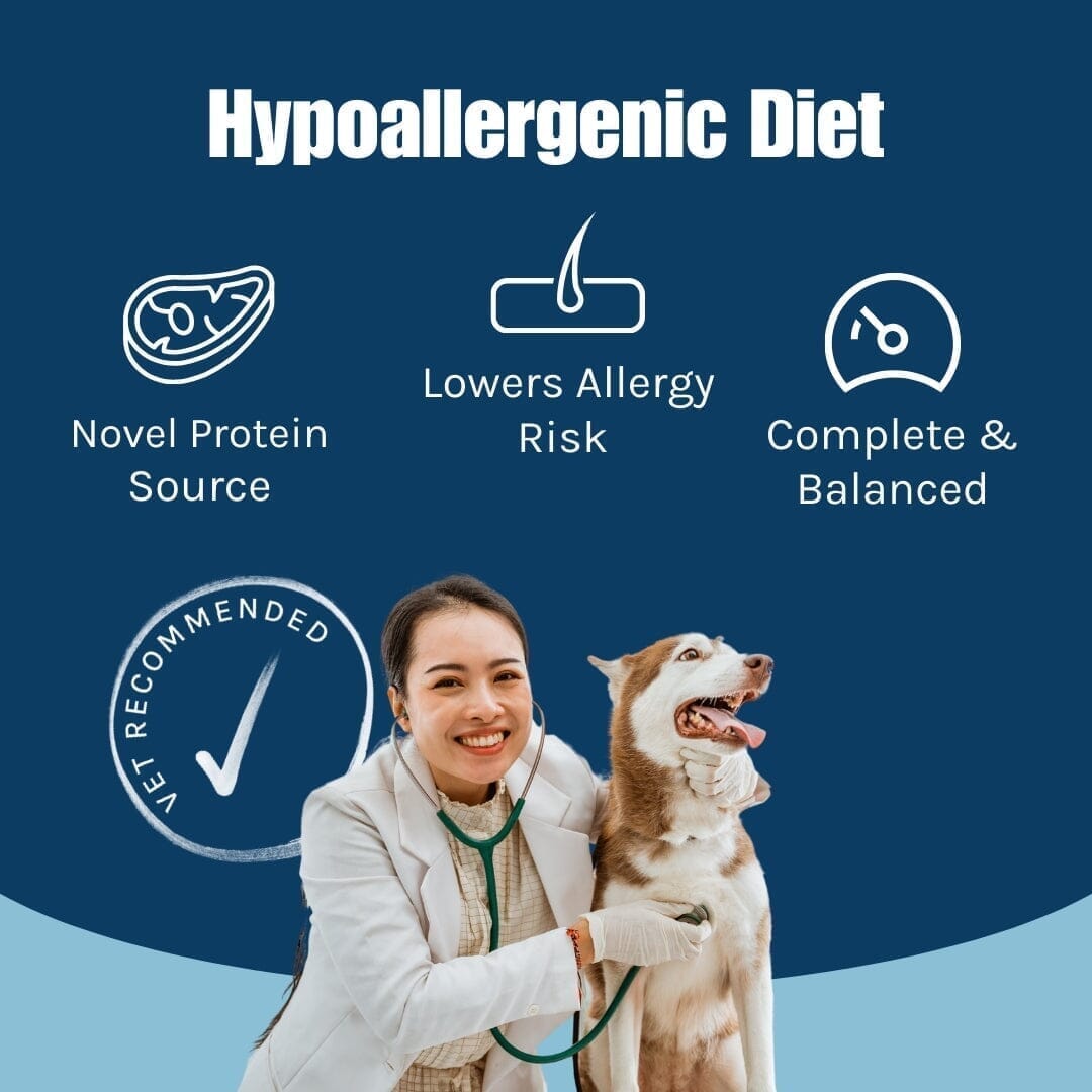 Hypoallergenic Diet